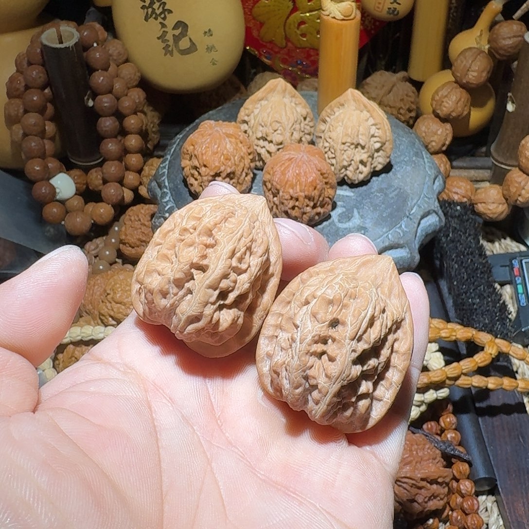 核桃34尺全品山地赤龙鸡心