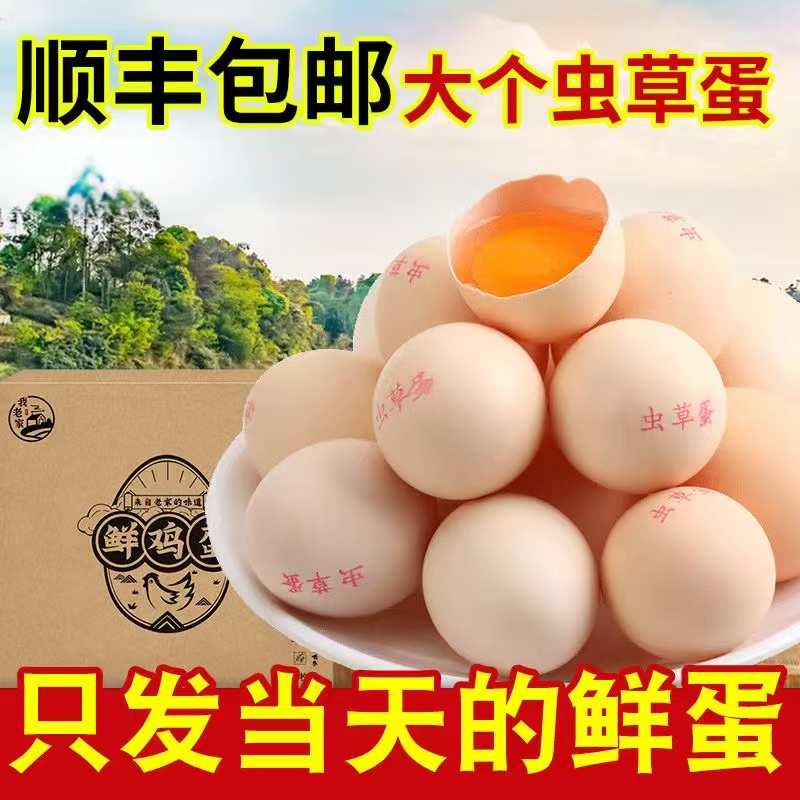 农家散养土鸡虫草蛋