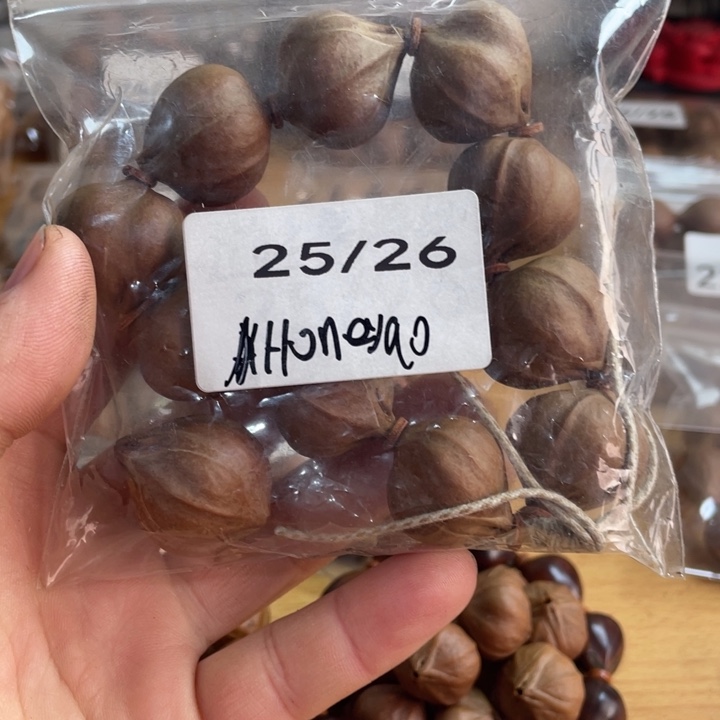 H***o橄榄核吊坠橄榄核