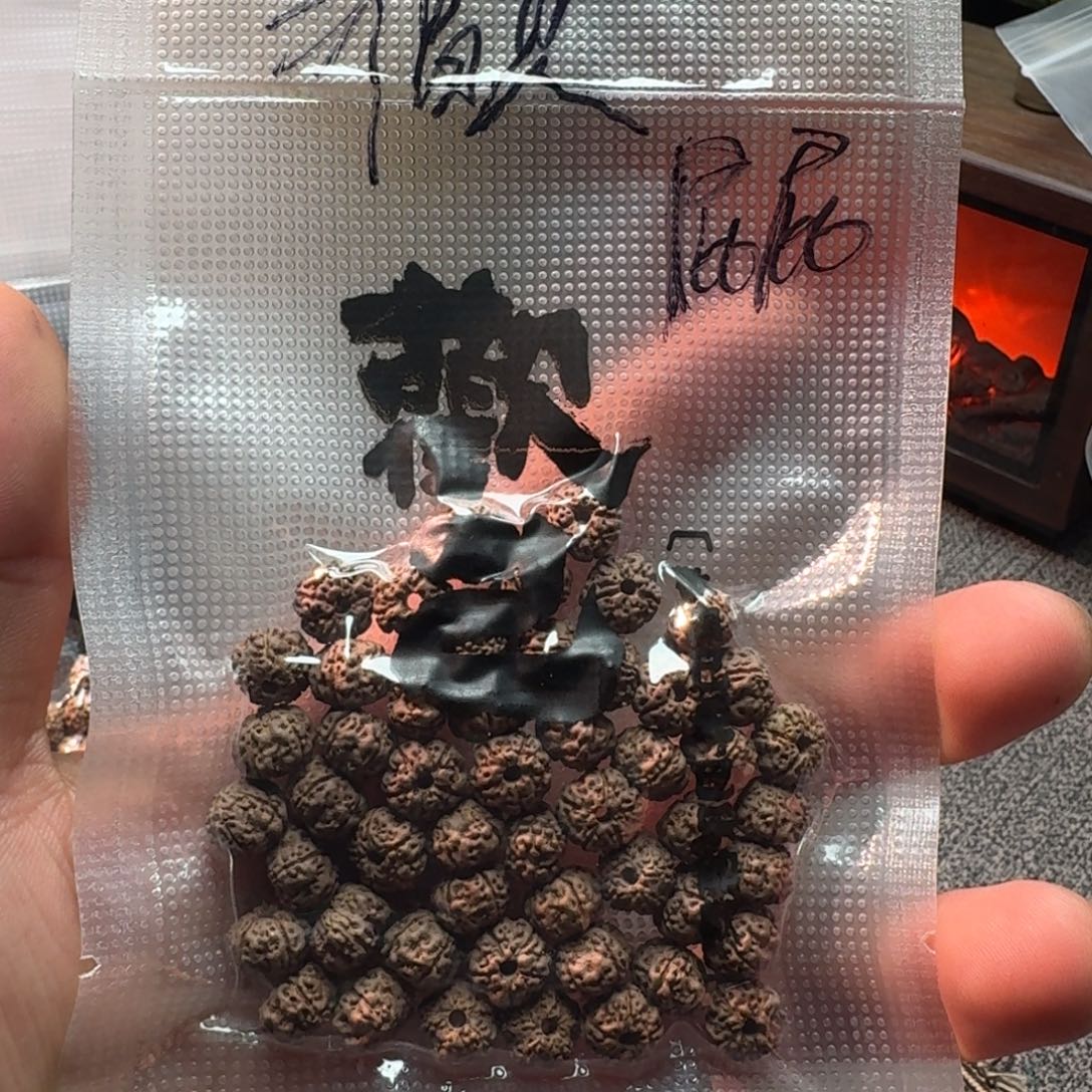 屁***屁吊坠金刚菩提歡己平细散籽（不退不换）
