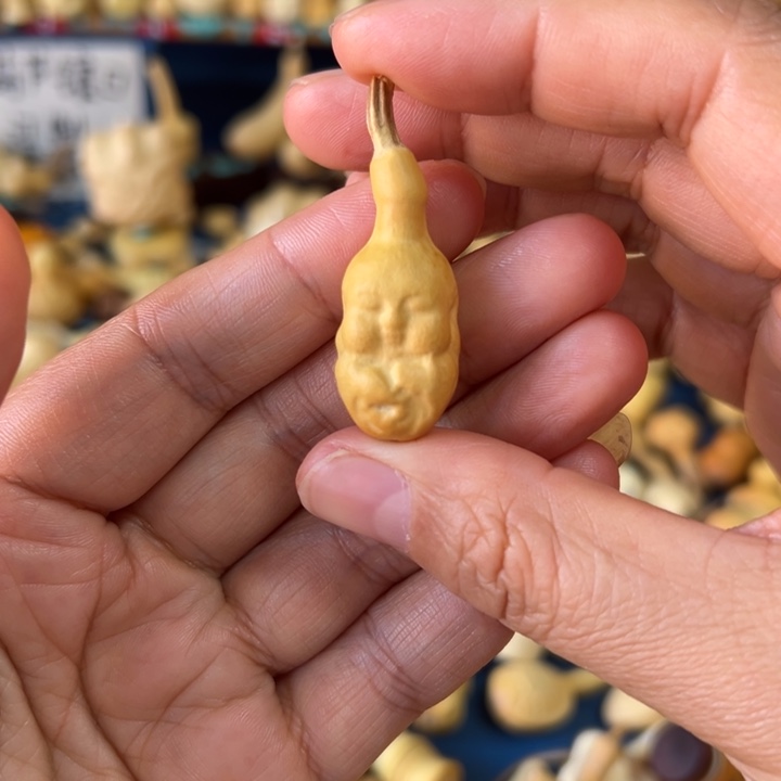 三***金葫芦来看看来看啦来看看