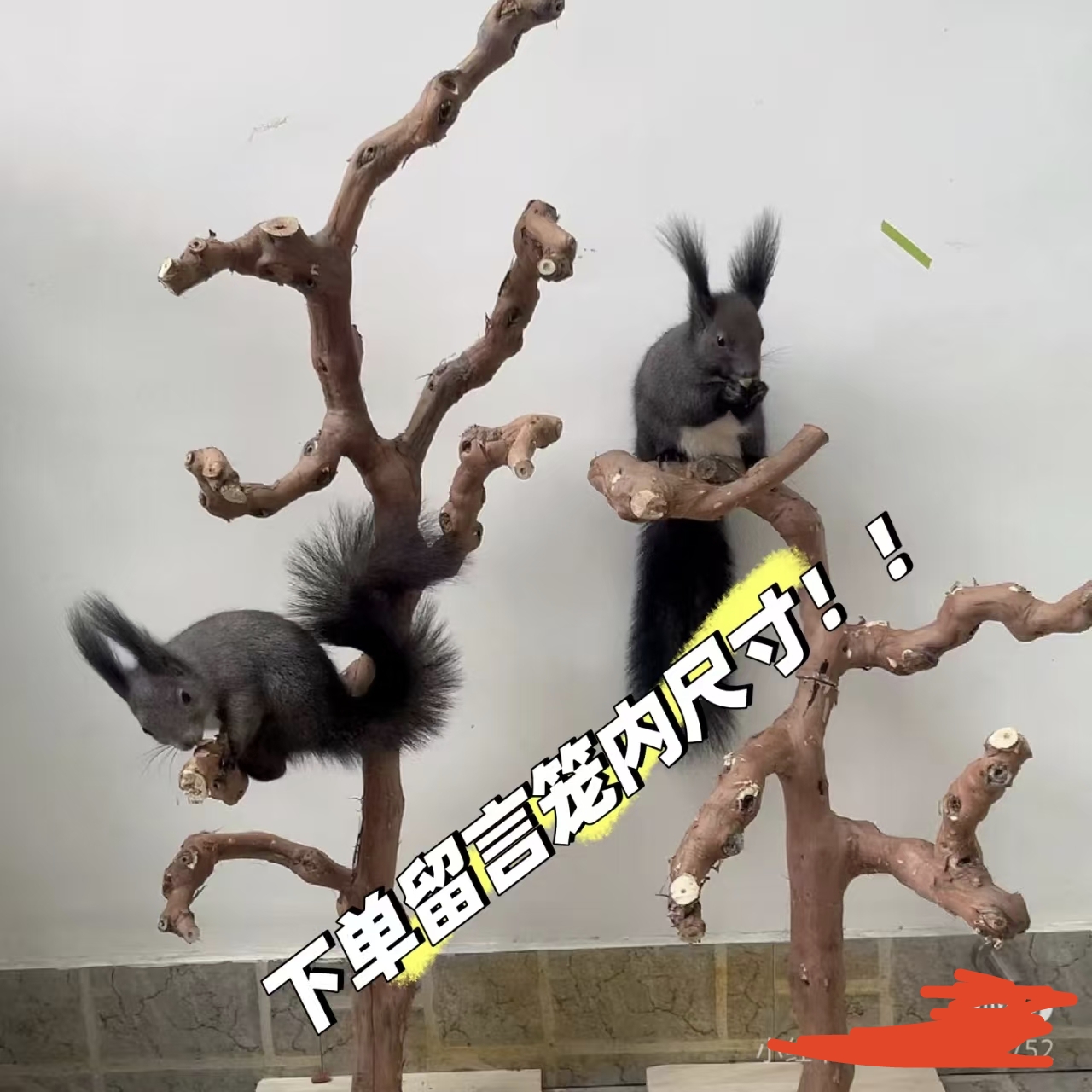 蜜袋鼯松鼠攀爬玩具树枝站架小鼬鼠训练架落地式游戏架宠物窝用品