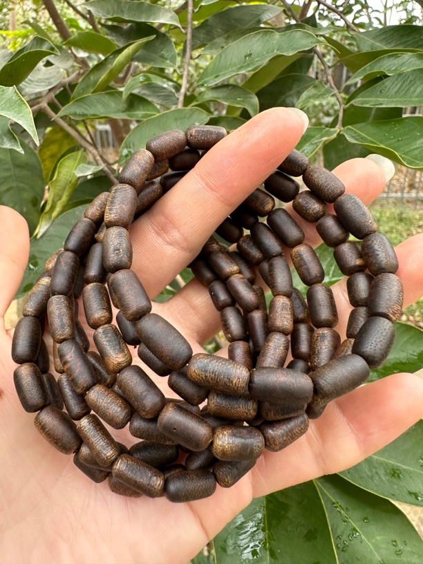 奇楠沉香沉水级瘤疤7g单圈多样性发一