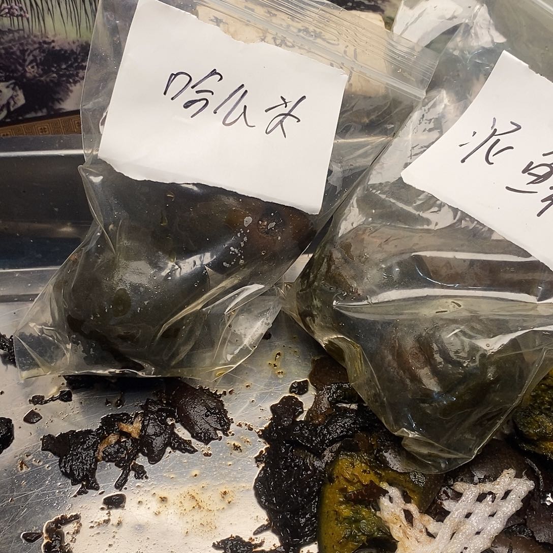 熊***5555555555555522332255555