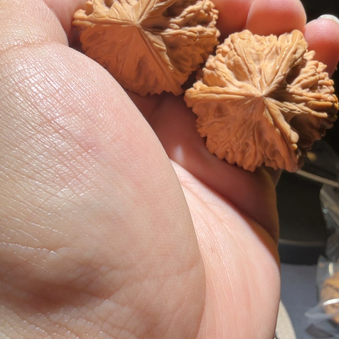 文玩核桃把件御龙正奔