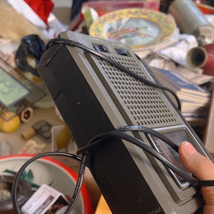 杂色豆（科檀/科特迪瓦檀木）丰