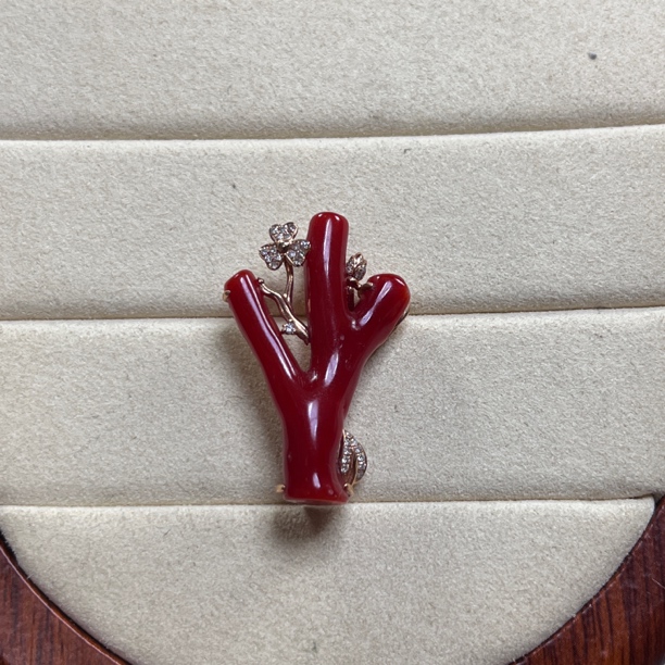 阿卡珊瑚牛血红原枝18K金吊坠项链挂件【国检证书】