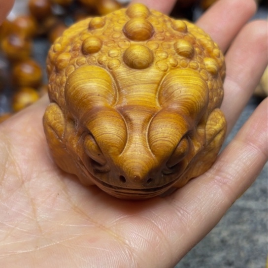 柏木（崖柏）崖柏56