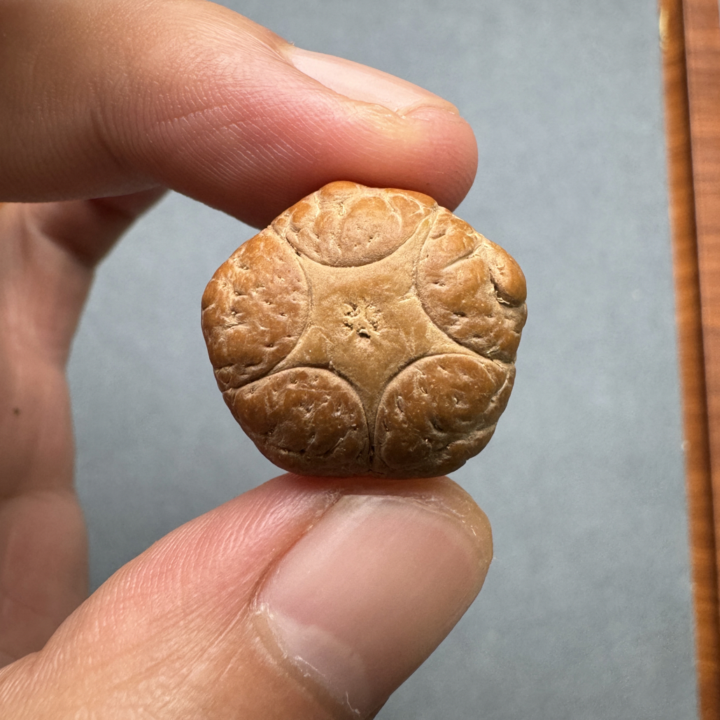特价22+五星上将菩提凤眼菩提三通佛头，非质量问题开孔不退