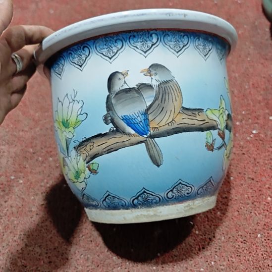 a***宝客人直播间专拍的盆子