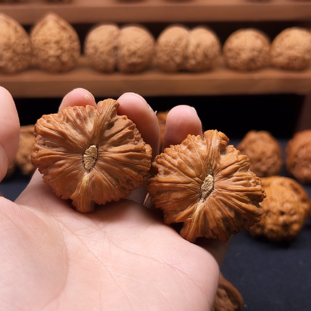 核桃把件白狮子45全品卡姿兰