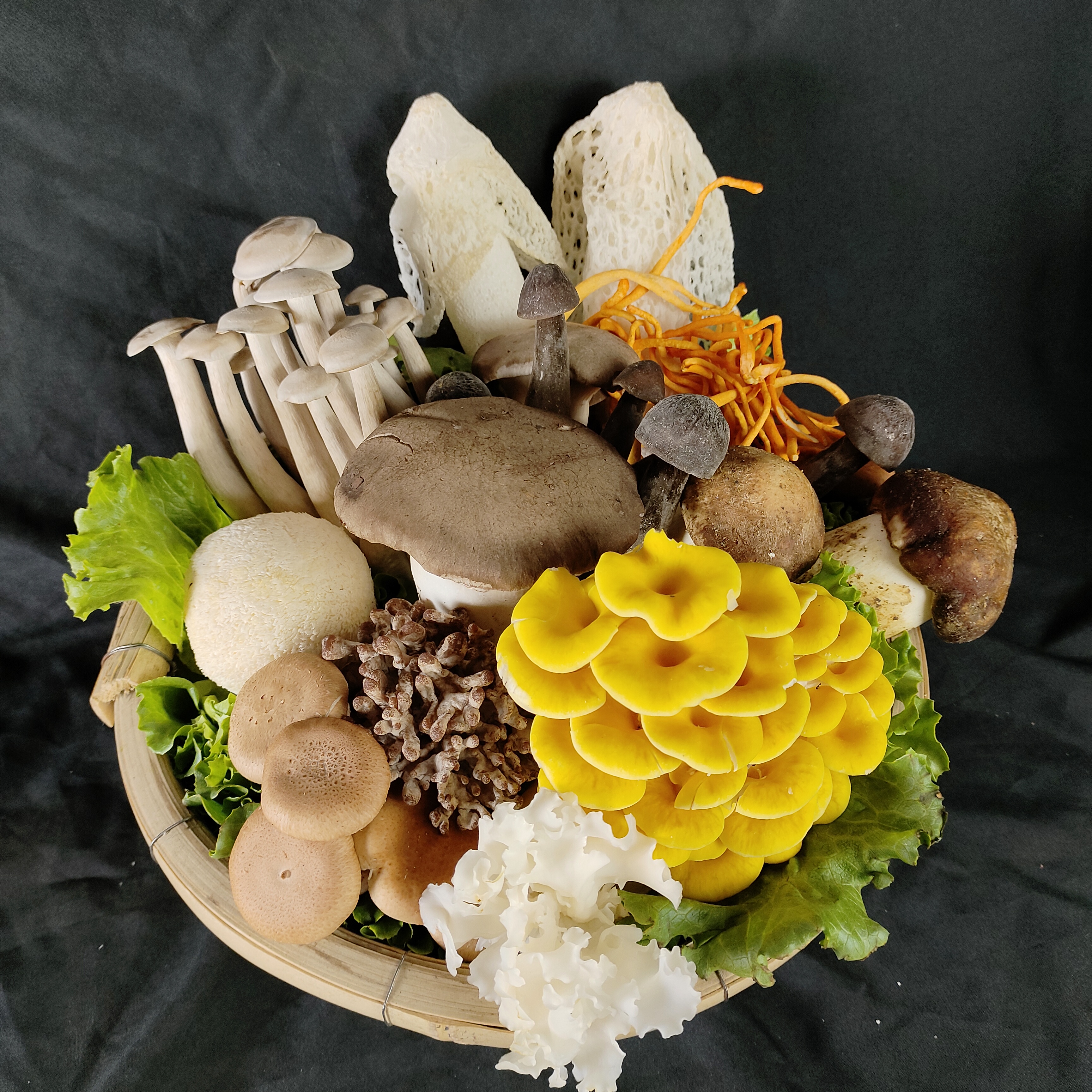 云南新鲜菌菇组合食用杂菌火锅套餐云南野生菌500克包邮新鲜菌子