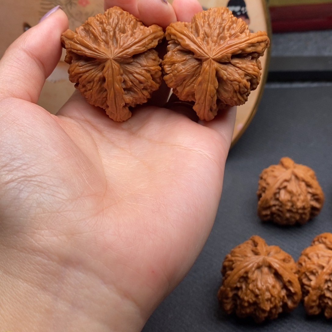 随***风白狮子111111111111