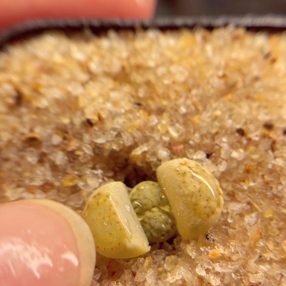 734. 6788887667899966788