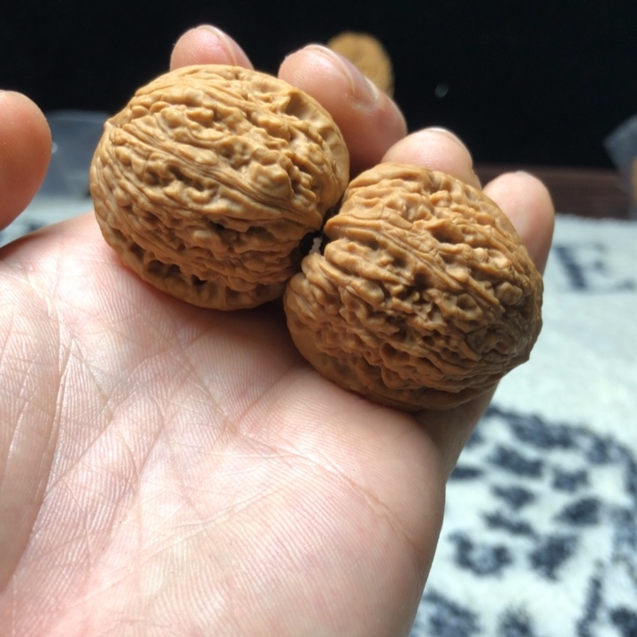 沉***辰核桃南疆小团子精品文玩