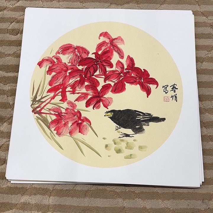 国画花鸟等多种鸟类和动物50.50