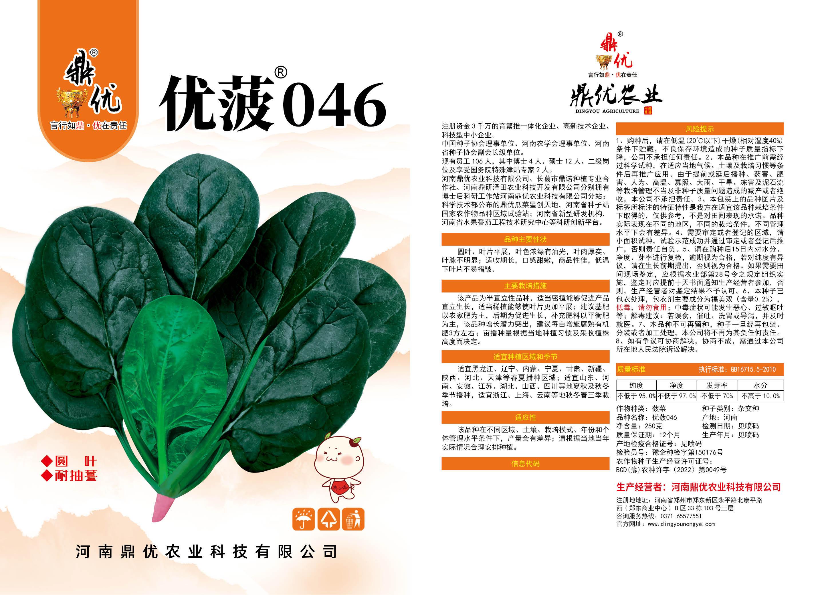 趴地菠菜，黑圆叶，亮度好，叶片平展