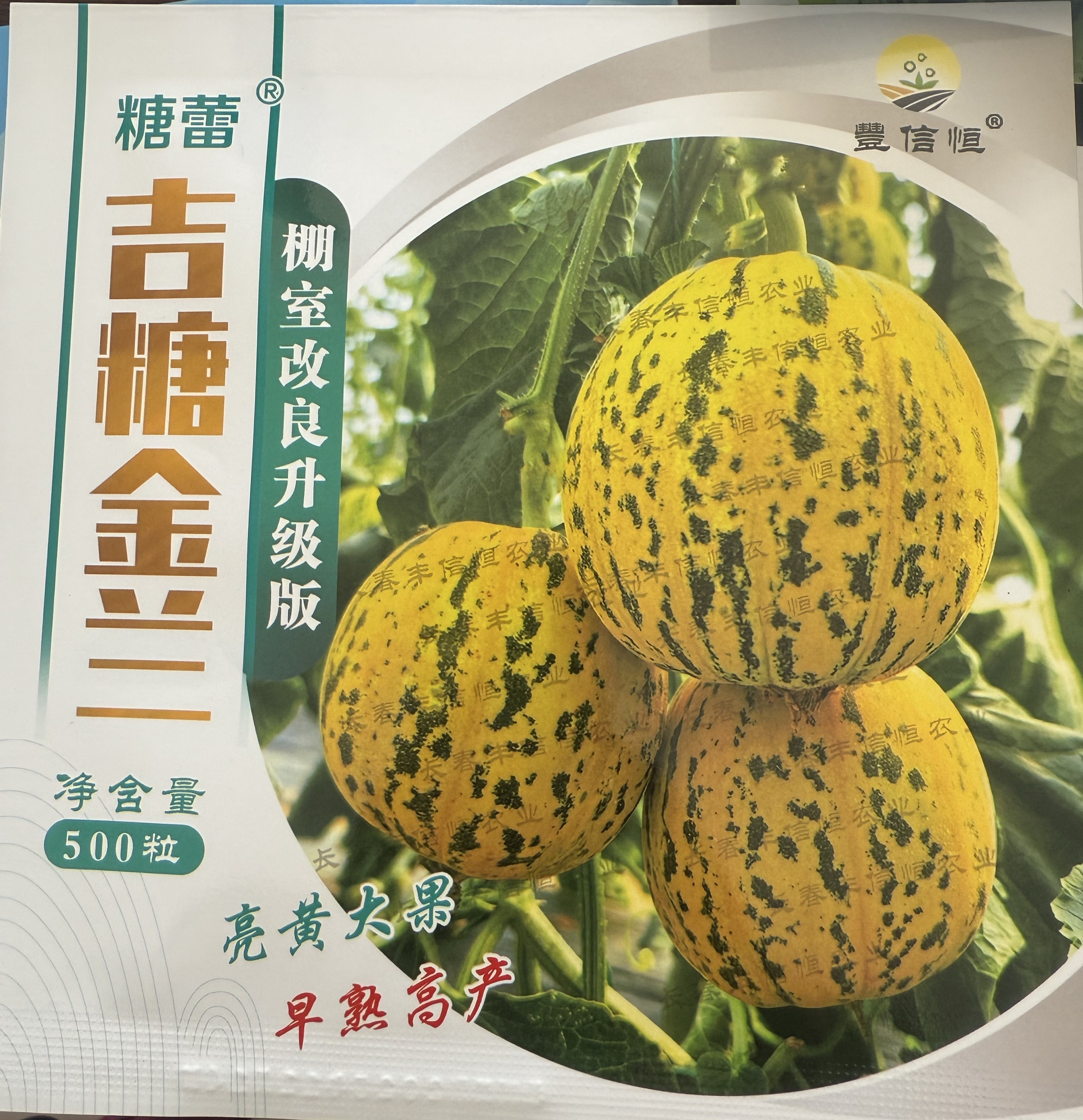 吉糖金兰甜瓜种子——产量高，八里香亮红黄皮色果肉硬度高，500粒