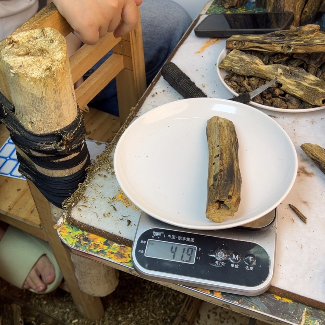 线香奇楠虫漏香41克