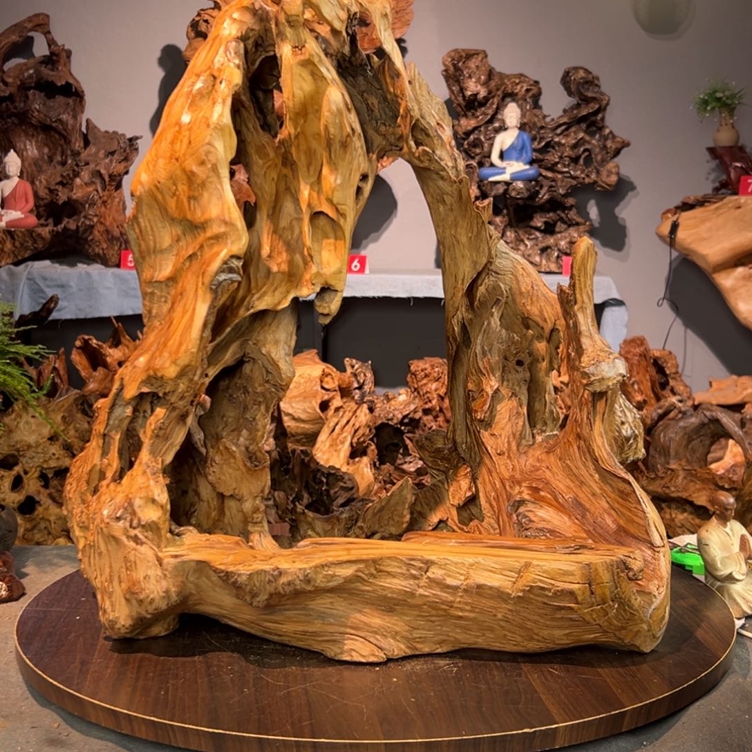 城***城香杉木477aaaaaaaaaa