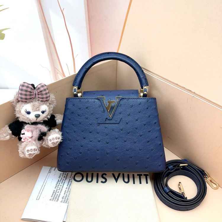 95新/路易威登/包包/[251225XZWC]/C534355053