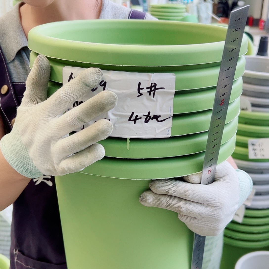 四季盆5#果绿6个无托
