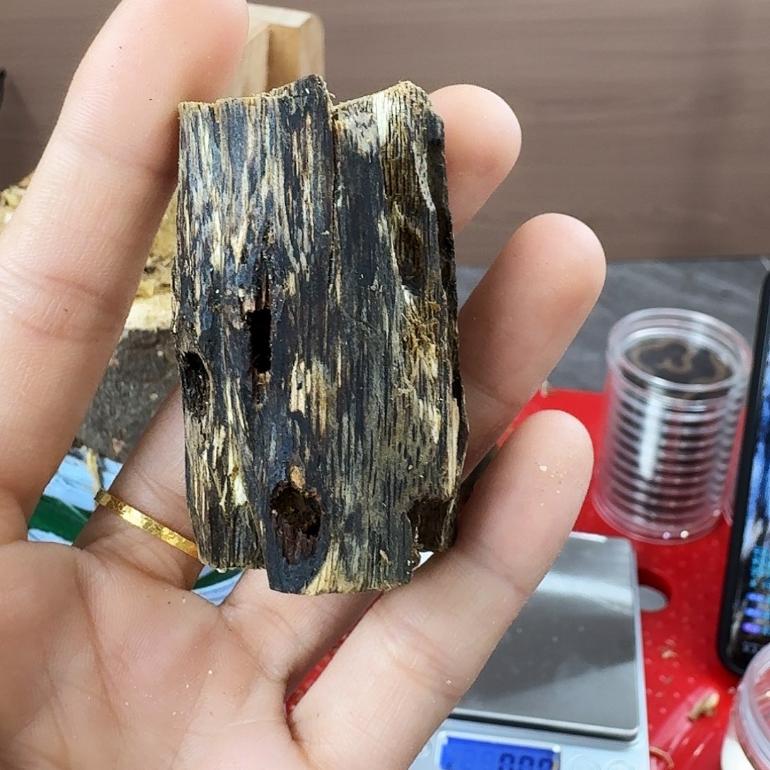 香料绿奇楠虫漏乌身圆叶16克