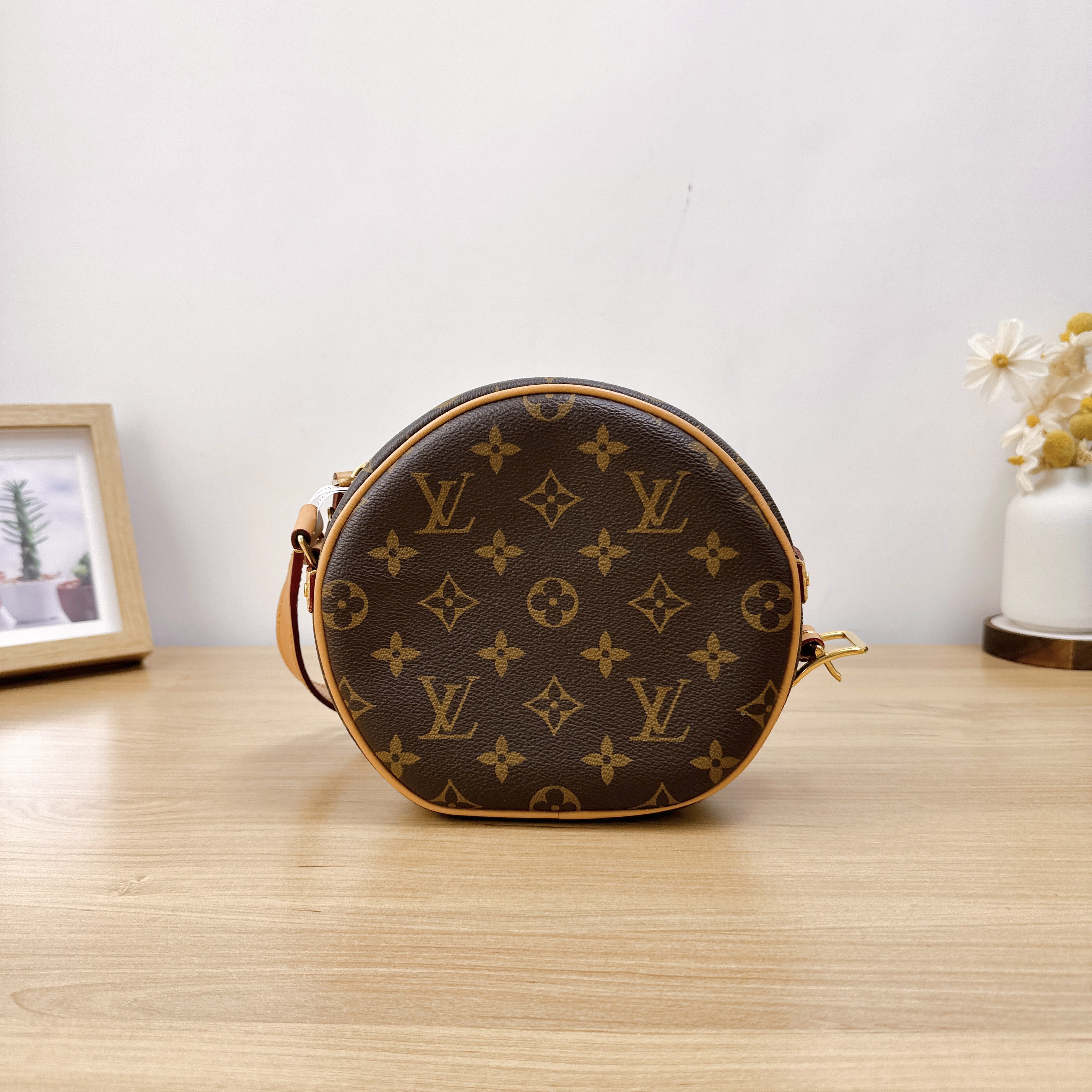95新 LouisVuitton/路易威登 软圆饼/单肩包/1184