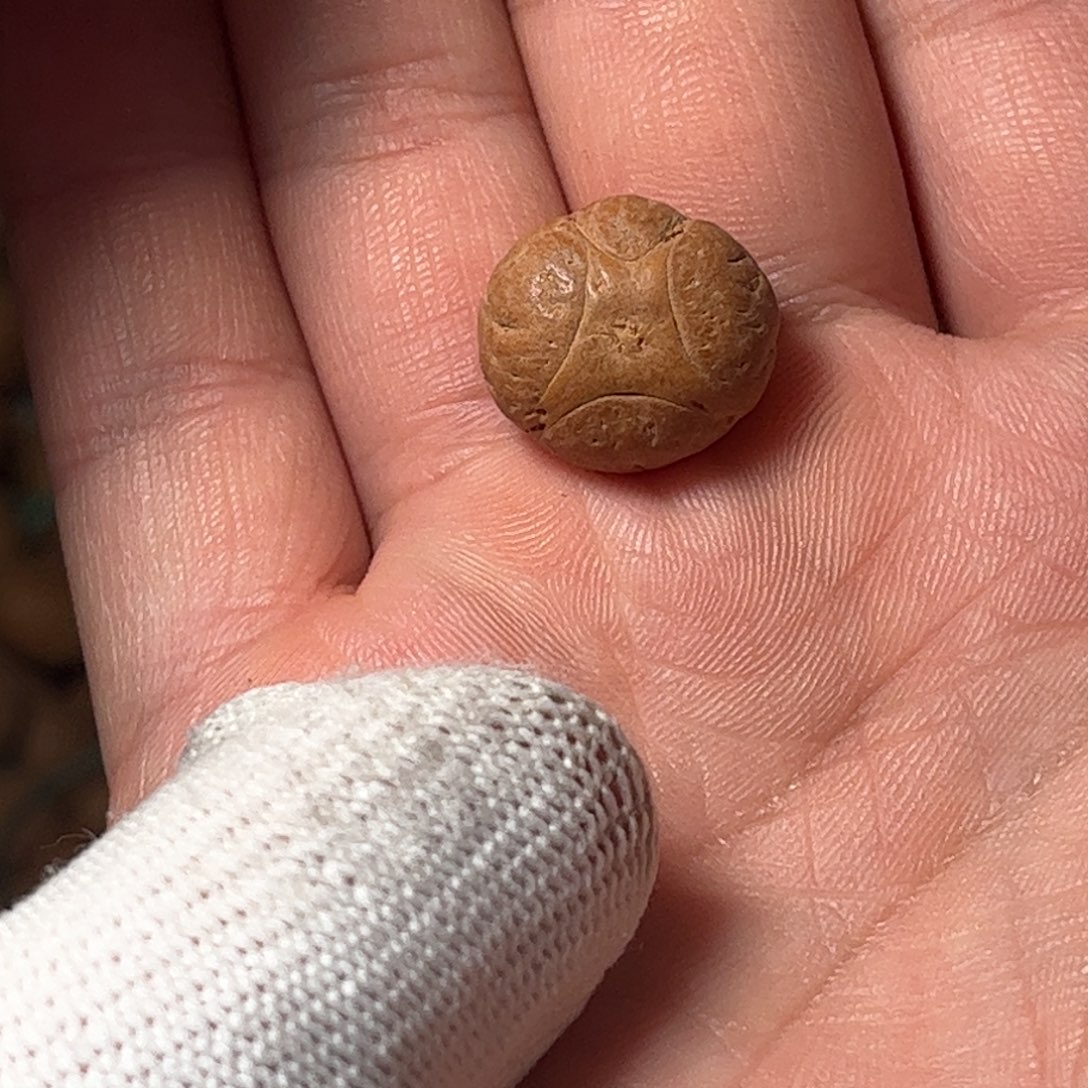 桃核吊坠17.66mm麒麟眼，开孔不退，偏远不包