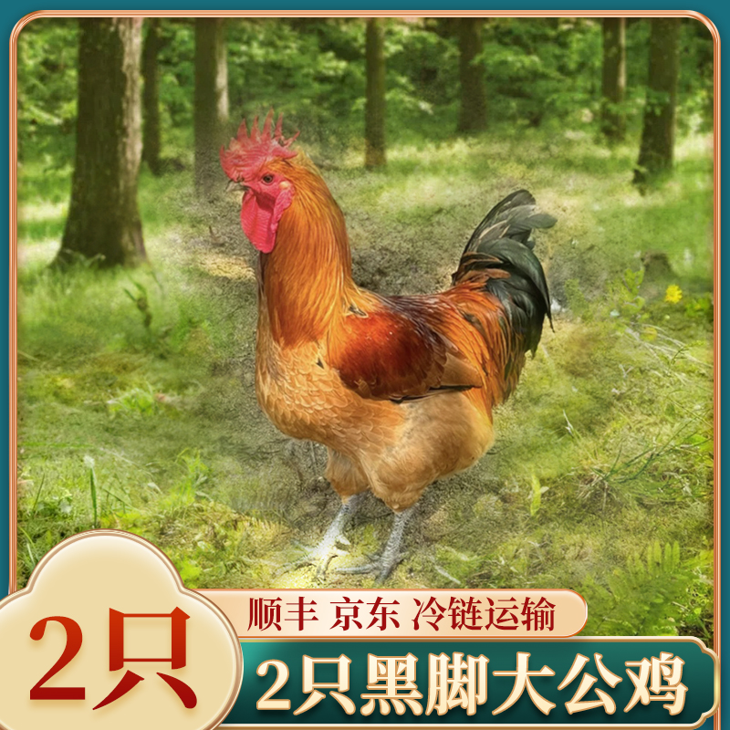 新人送一只黑脚大公鸡 自家散养现宰现杀冷鲜发货2只毛重12-15斤 净重9斤