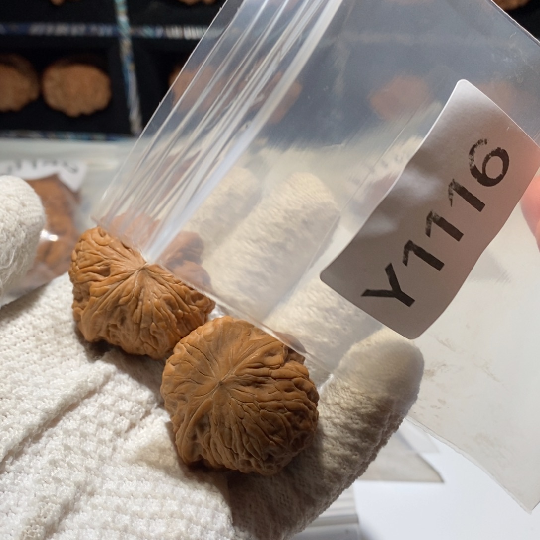 吊坠文玩核桃38.5全品铁锤妹妹