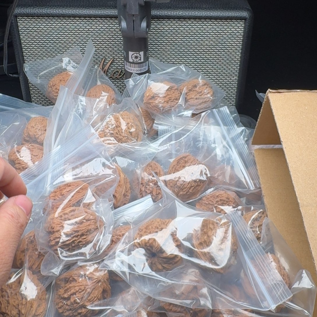 核桃25一单 宝底四队南疆不退不换