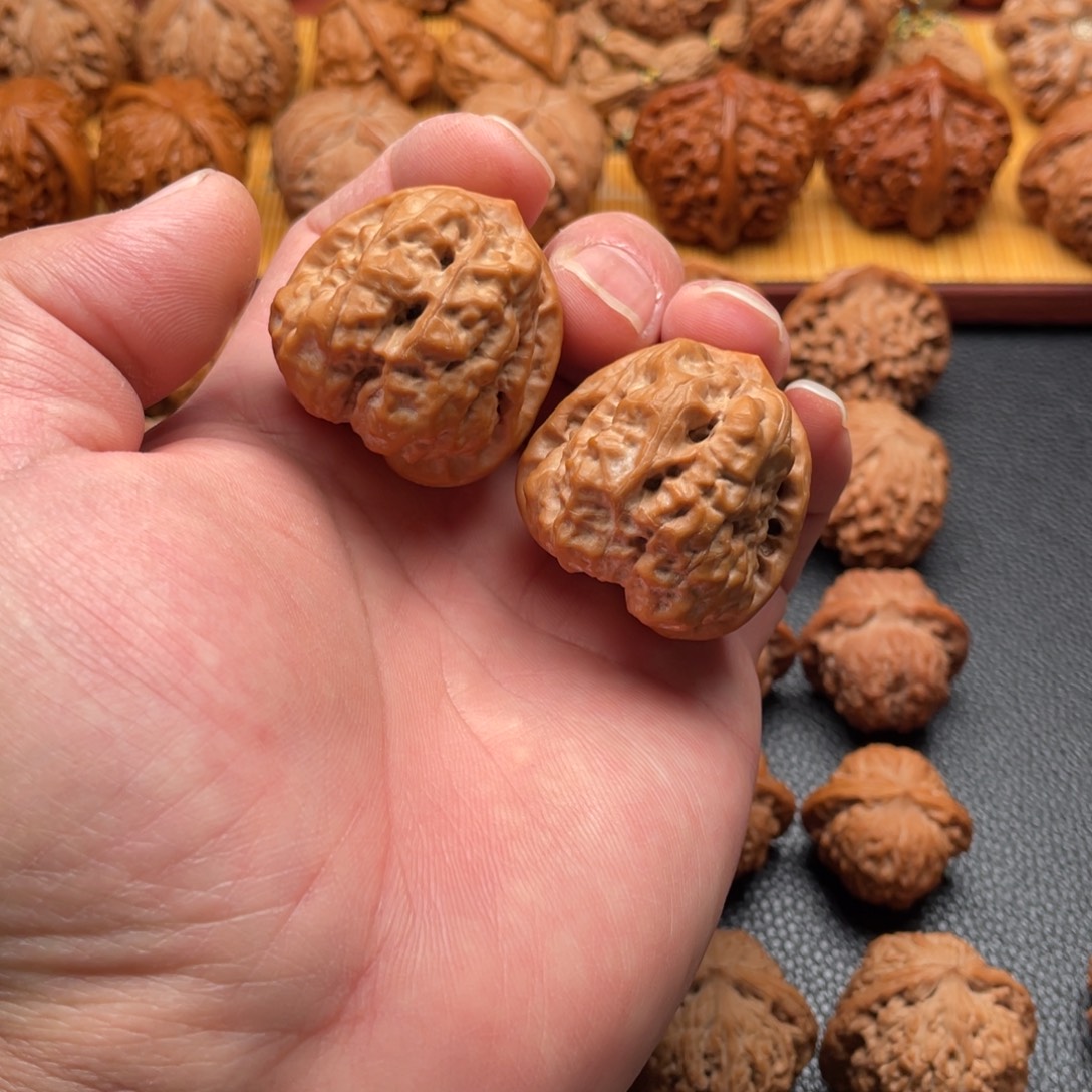 核桃三角剑毒蛙蛙