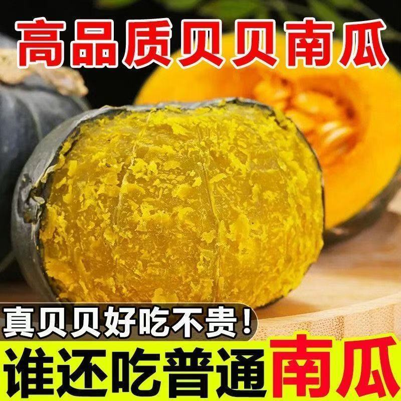 内蒙古沙地贝贝南瓜粉糯香甜（产地直发）