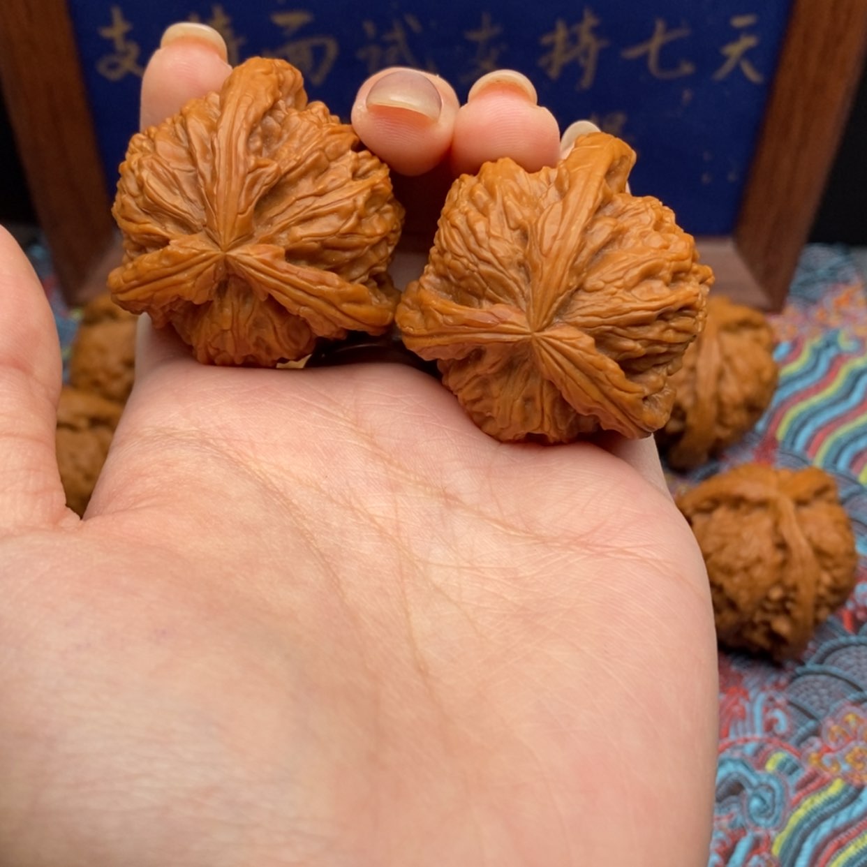 【闪购商品】W*Z白狮