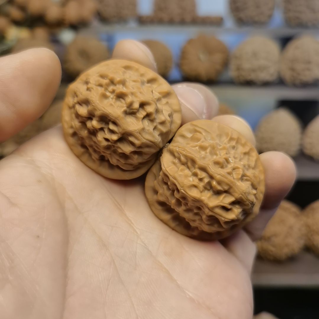 文玩核桃把件35全品瓷娃娃精对