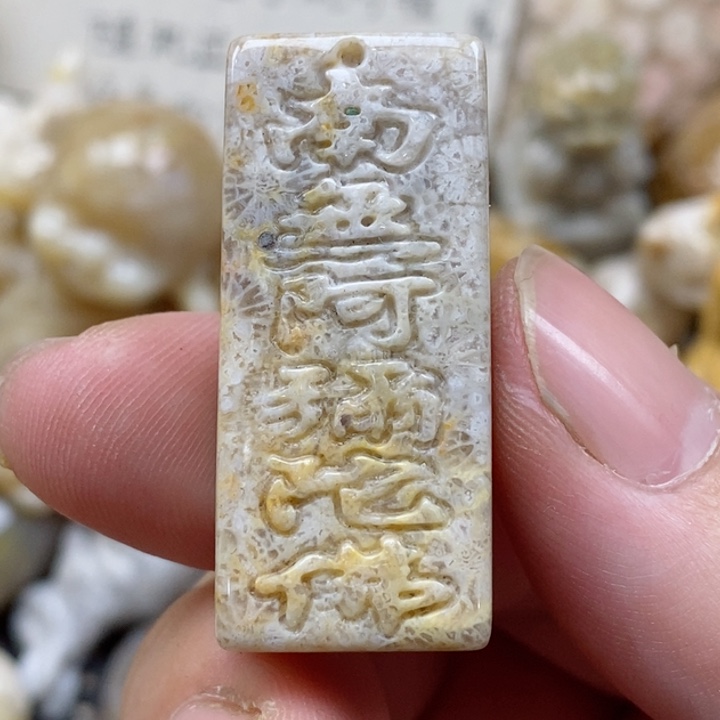 颈饰未镶嵌硅化珊瑚（珊瑚玉）小