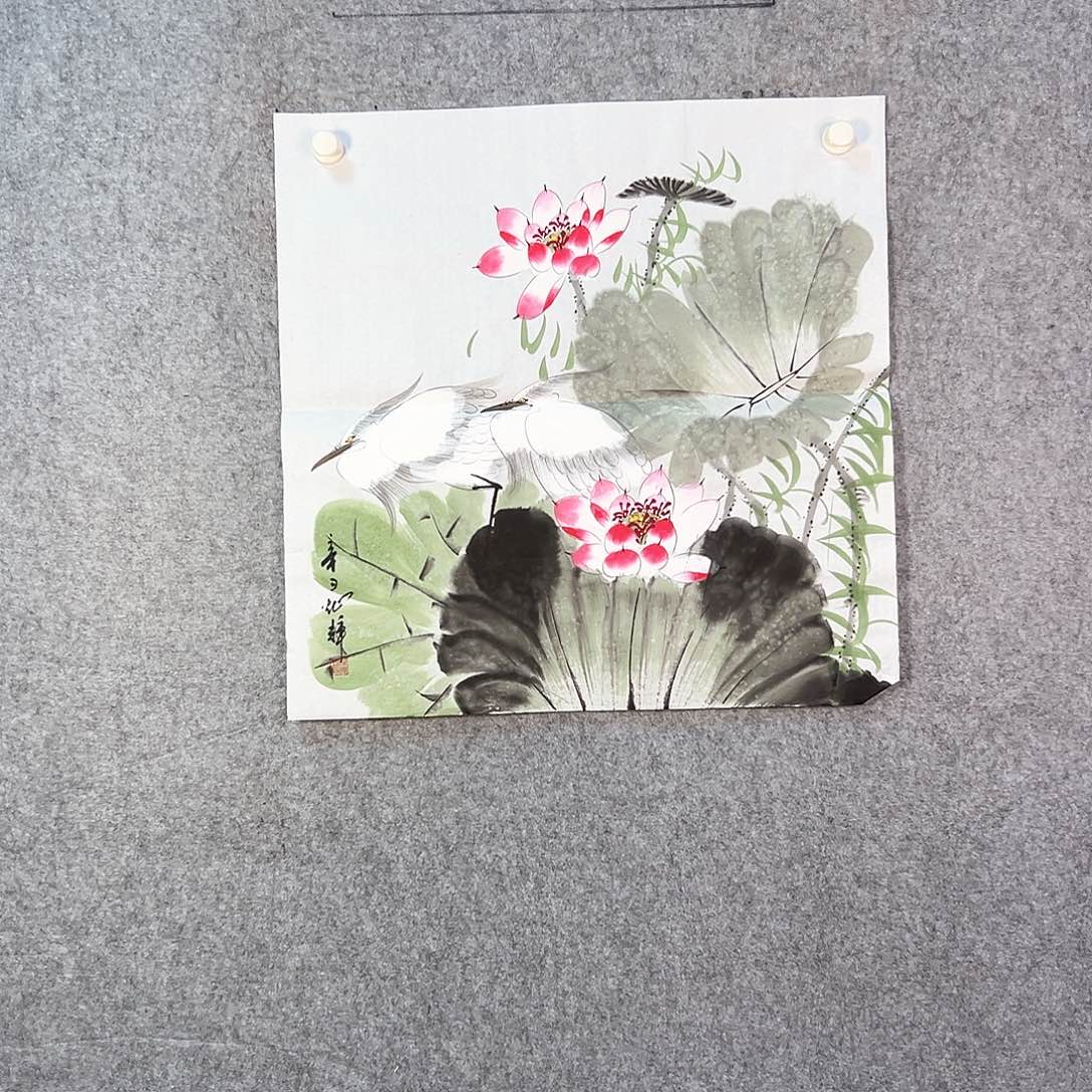 国画573 牡丹等植物资源优势明显