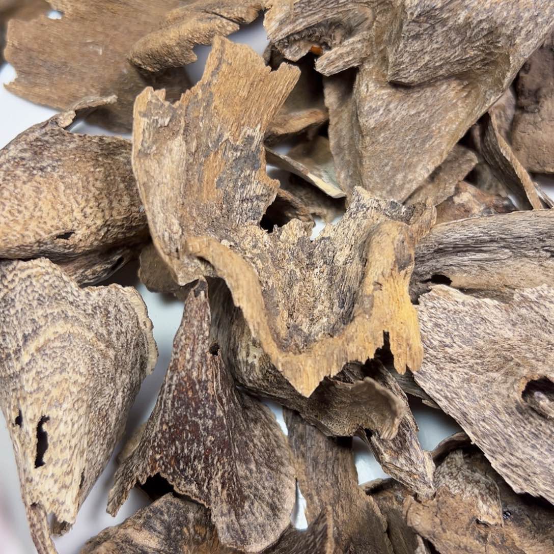 树脂制品用****5海南壳子46.6 g