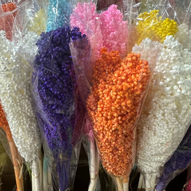 永生花高梁多色可选手工DIY插花花束搭配节日送礼装饰真花