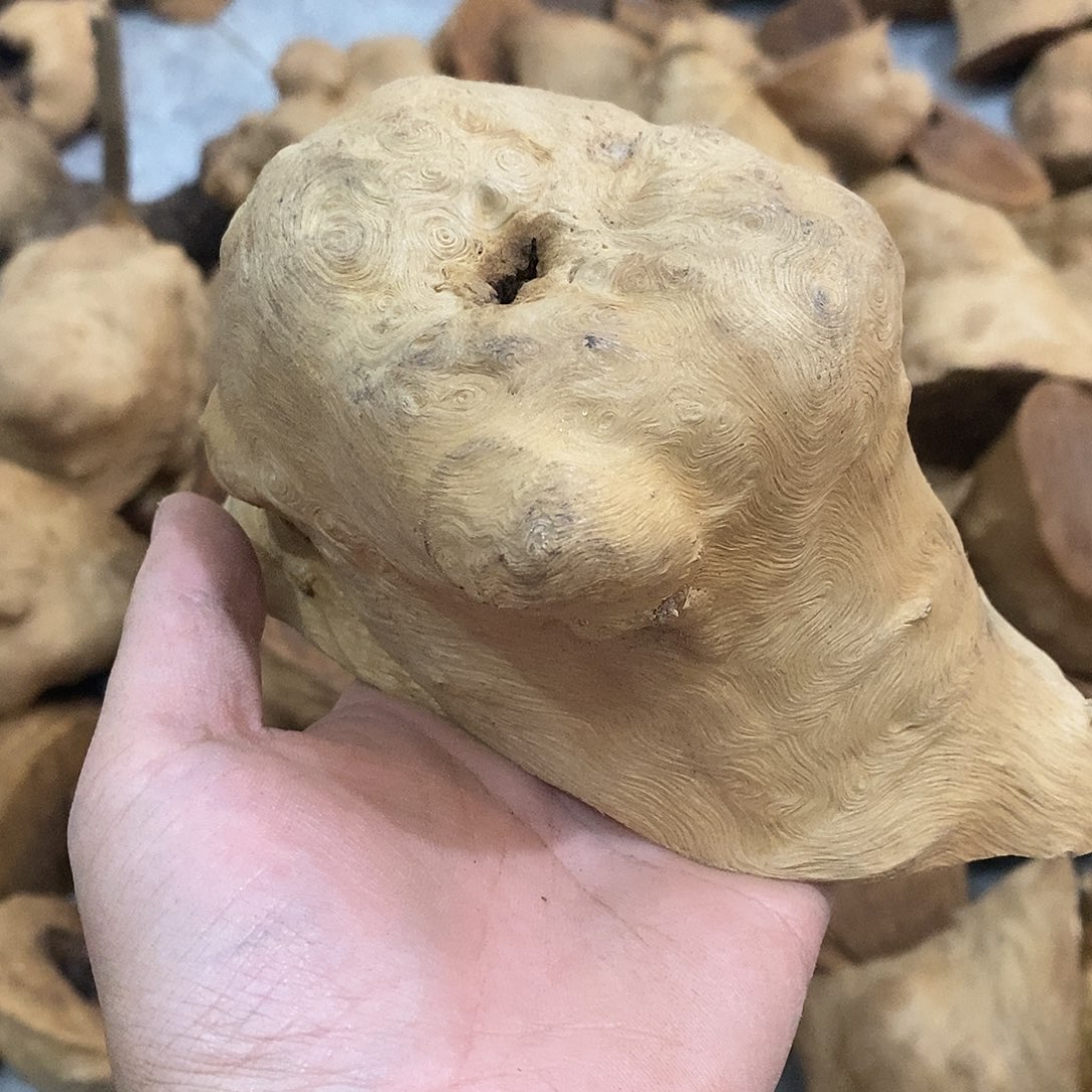 上***亦荔枝木荔枝木原料