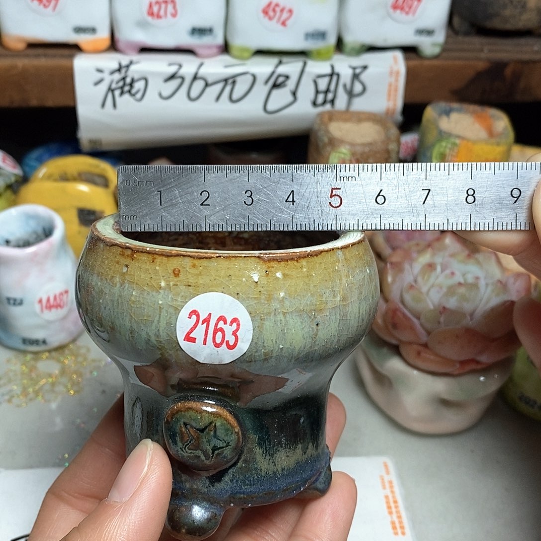 红陶拍5送一个小