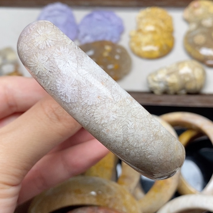 硅化珊瑚（珊瑚玉）未镶嵌手镯63.7