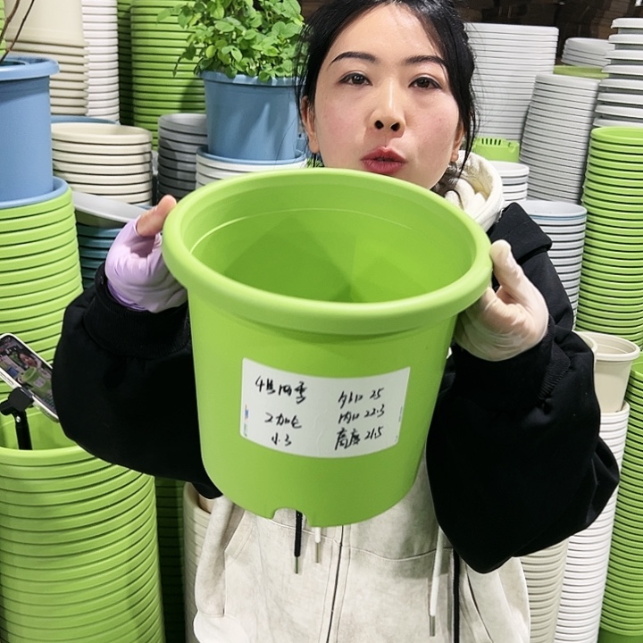 特价4号四季口25高21.5白色8只无托