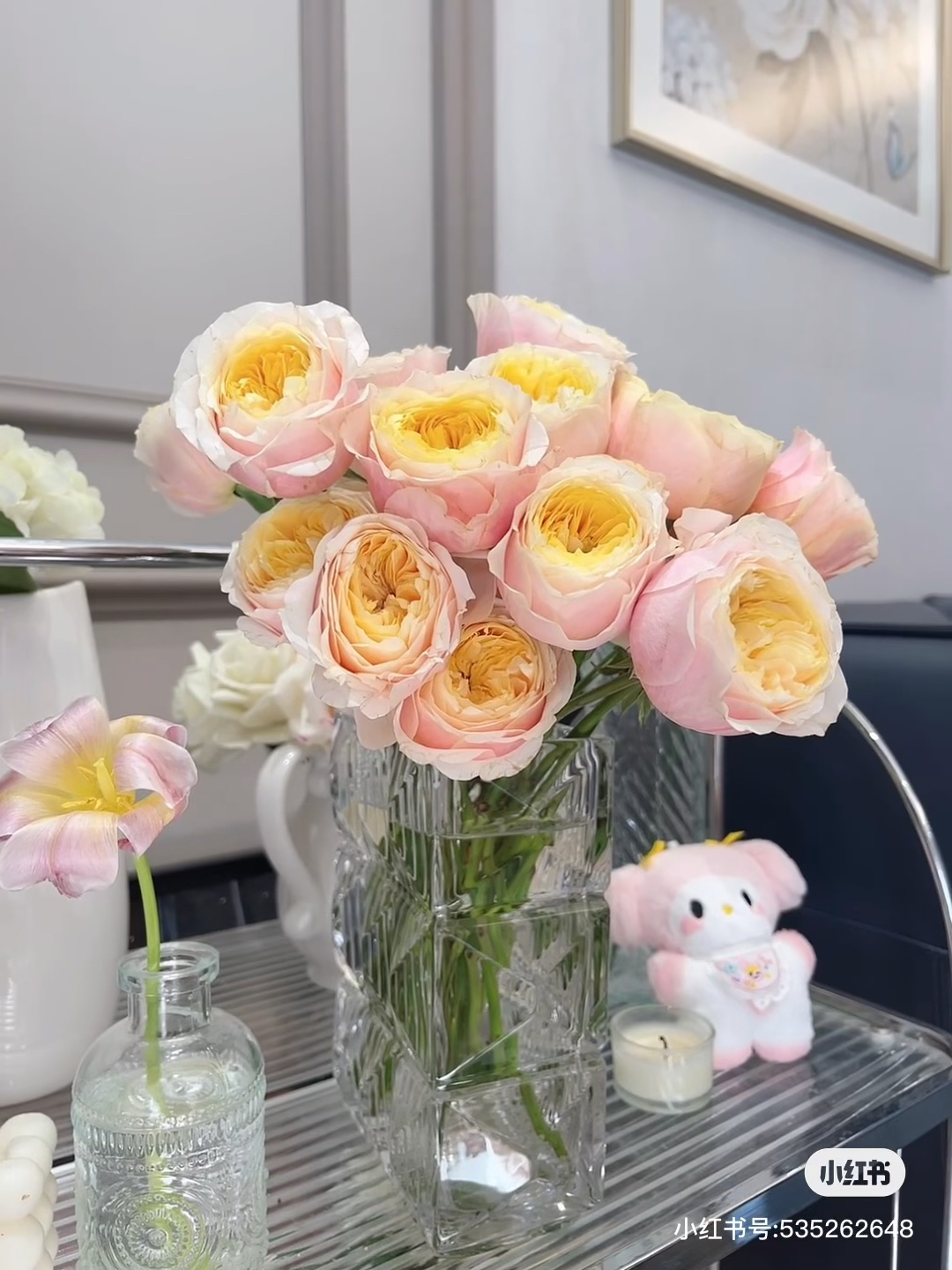 【好物鲜花】稀有特蕾莎10支 两单包邮