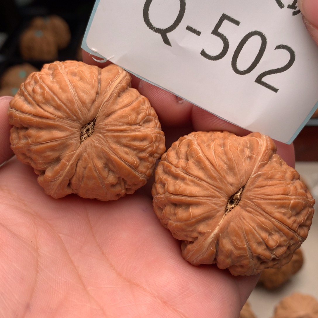 文玩核桃把件鲲*42元宝…….