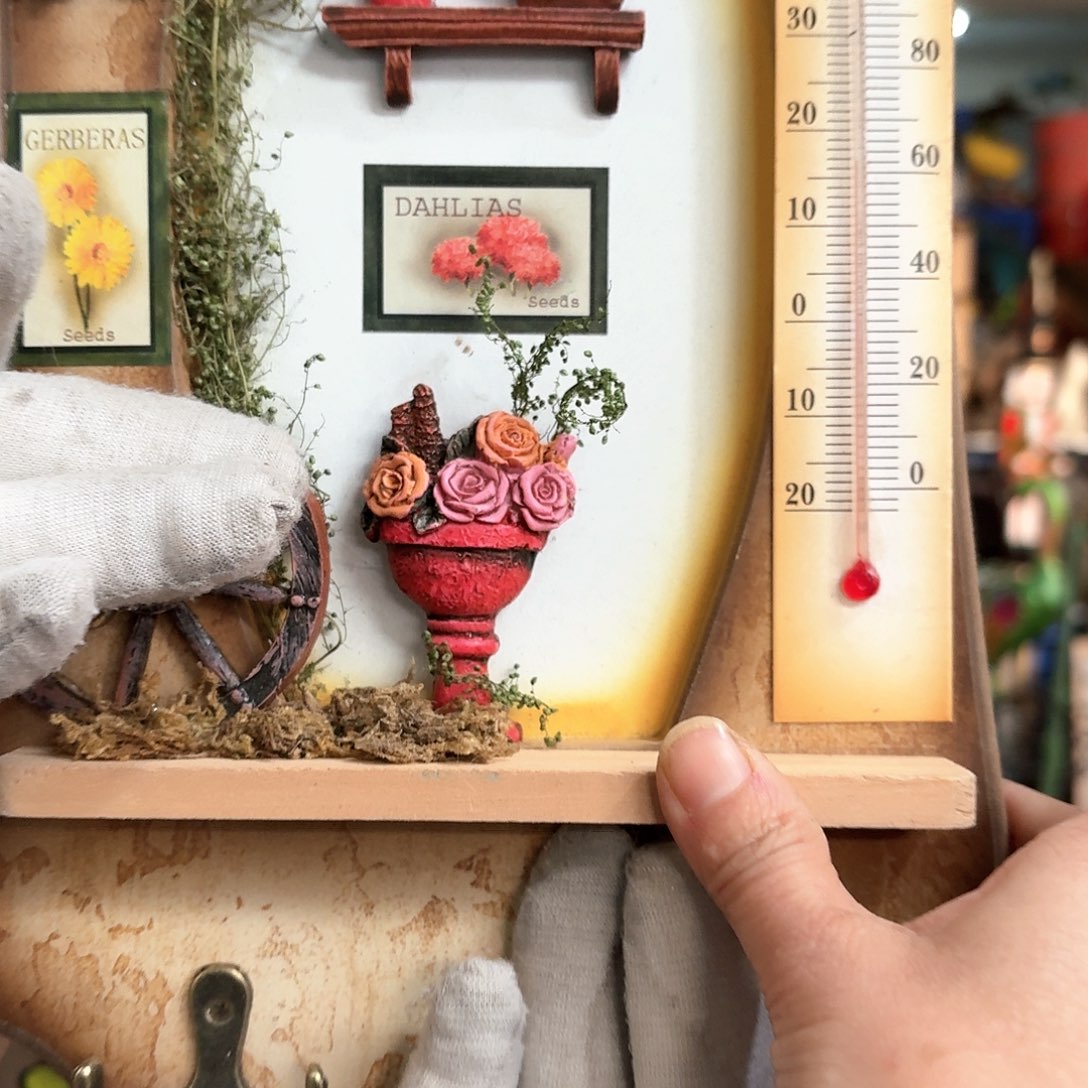 核桃木/黑胡桃（胡桃木）