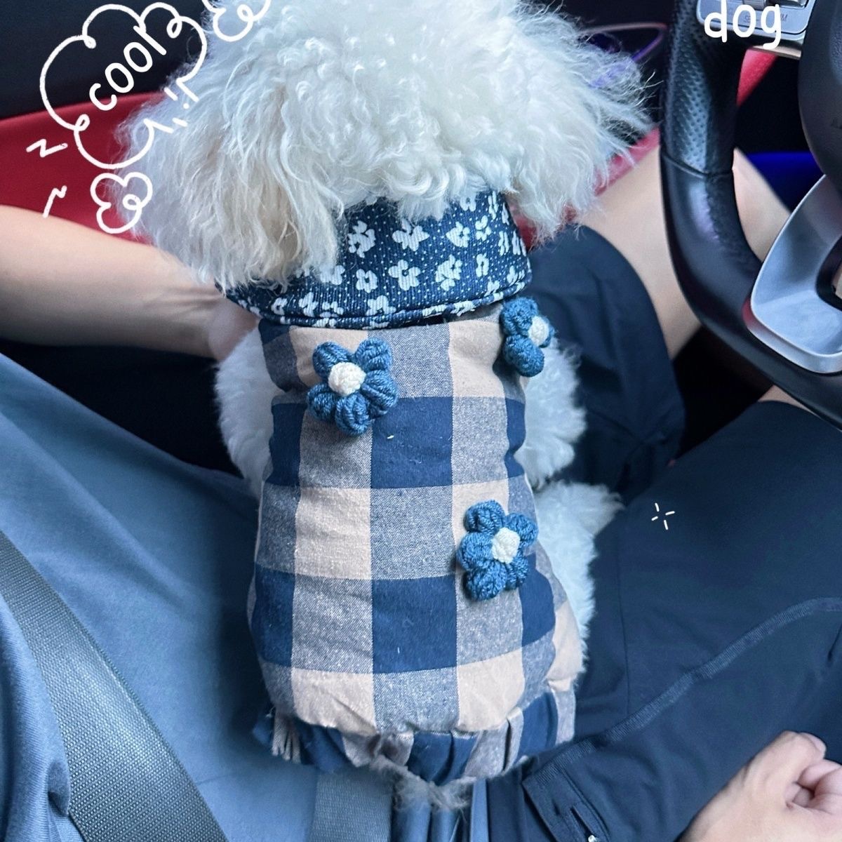 猫咪狗狗冬天棉服小型犬比熊马尔济斯约克夏小花马甲衣服带牵引洞