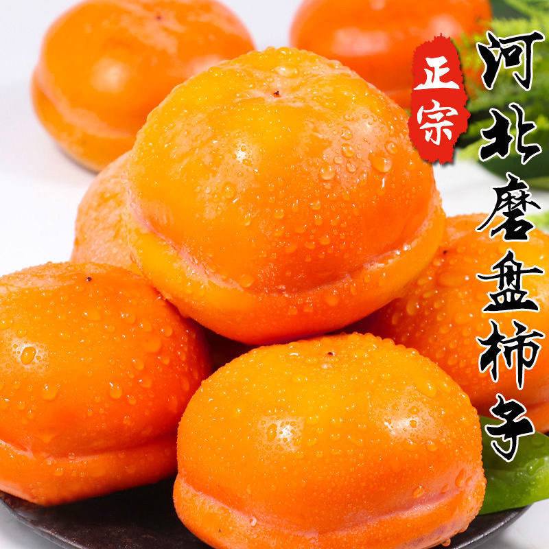 河北保定正宗特大号磨盘大柿子软柿子爆甜脆甜水果