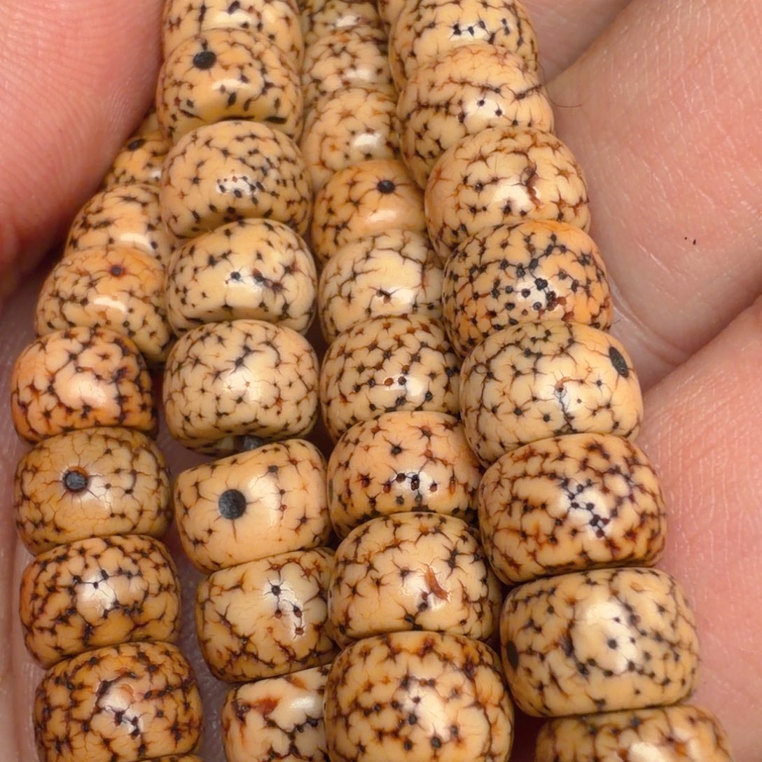 菩提籽类奶油白大直切大压痕星月卡8